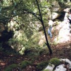 thumbnails/019-003.jpeg.small.jpeg