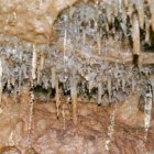 thumbnails/087-105.jpeg.small.jpeg
