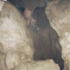 thumbnails/098-089.jpeg.small.jpeg