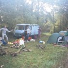 thumbnails/006-097.jpeg.small.jpeg