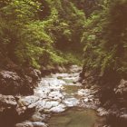 thumbnails/008-039.jpeg.small.jpeg