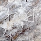 thumbnails/018-traversée23.jpeg.small.jpeg