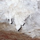 thumbnails/079-traversée24.jpeg.small.jpeg
