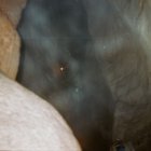thumbnails/093-033a.jpeg.small.jpeg