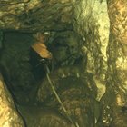 thumbnails/003-007.jpg.small.jpeg