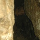 thumbnails/015-019.jpg.small.jpeg
