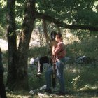 ../thumbnails/056-058.jpg.small.jpeg
