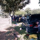 ../thumbnails/065-065.jpg.small.jpeg