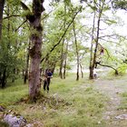 ../thumbnails/069-072.jpg.small.jpeg