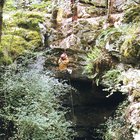 ../thumbnails/078-086.jpg.small.jpeg