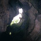 ../thumbnails/081-083.jpg.small.jpeg