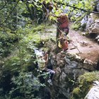 ../thumbnails/091-088.jpg.small.jpeg
