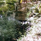 ../thumbnails/093-090.jpg.small.jpeg