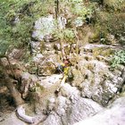 ../thumbnails/096-100.jpg.small.jpeg