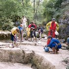 ../thumbnails/097-099.jpg.small.jpeg