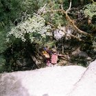 ../thumbnails/100-096.jpg.small.jpeg