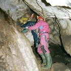 ../thumbnails/108-116.jpg.small.jpeg