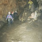 ../thumbnails/116-123.jpg.small.jpeg