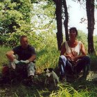 ../thumbnails/128-130.jpg.small.jpeg