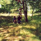 ../thumbnails/131-132.jpg.small.jpeg