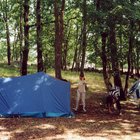 ../thumbnails/138-139.jpg.small.jpeg