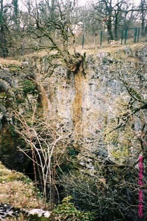 08