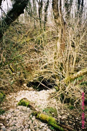 Perte_du_Cre_01