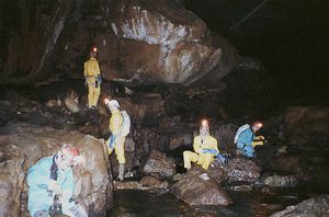 1993-09-01_09