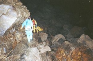 1993-09-01_12