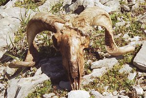 1993-09-01_40