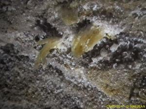 DM Image02