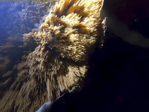 DCIM100GOPROGOPR7963.JPG