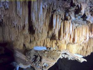 DCIM100GOPROGOPR7962.JPG